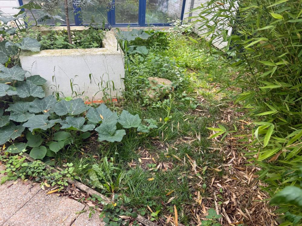 Création d'une terrasse en bois près de Plaisir